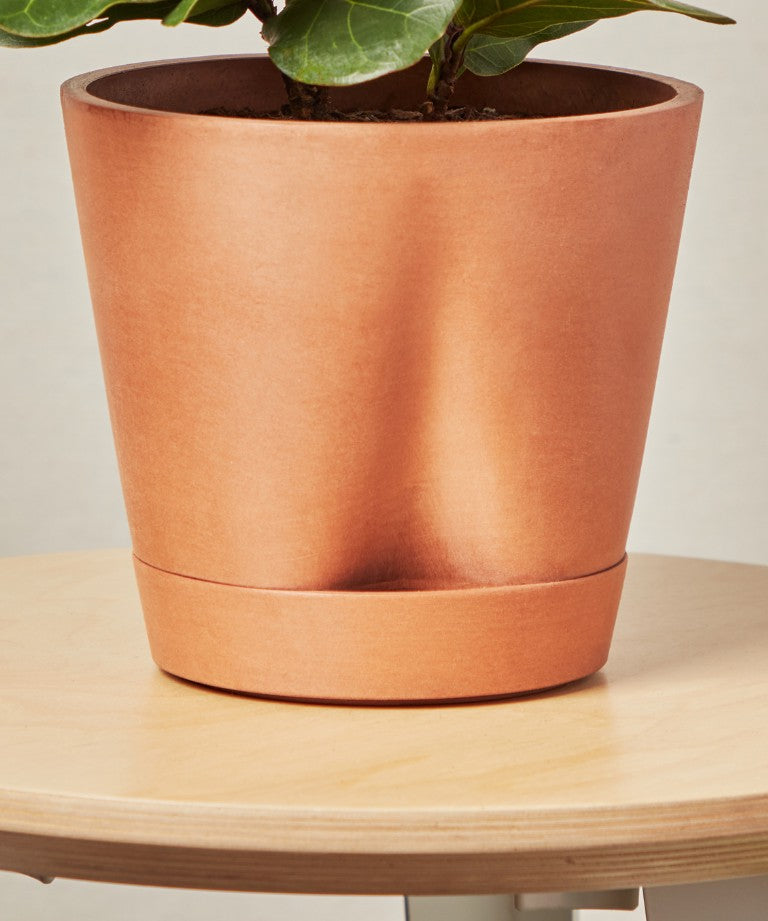 self watering clay pot